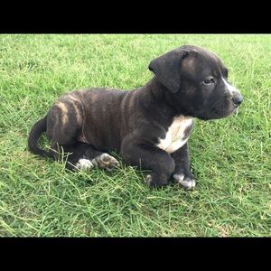 Meet your Posher, Kanoe